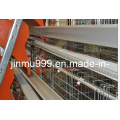 Machine d&#39;alimentation automatique pour le poulet